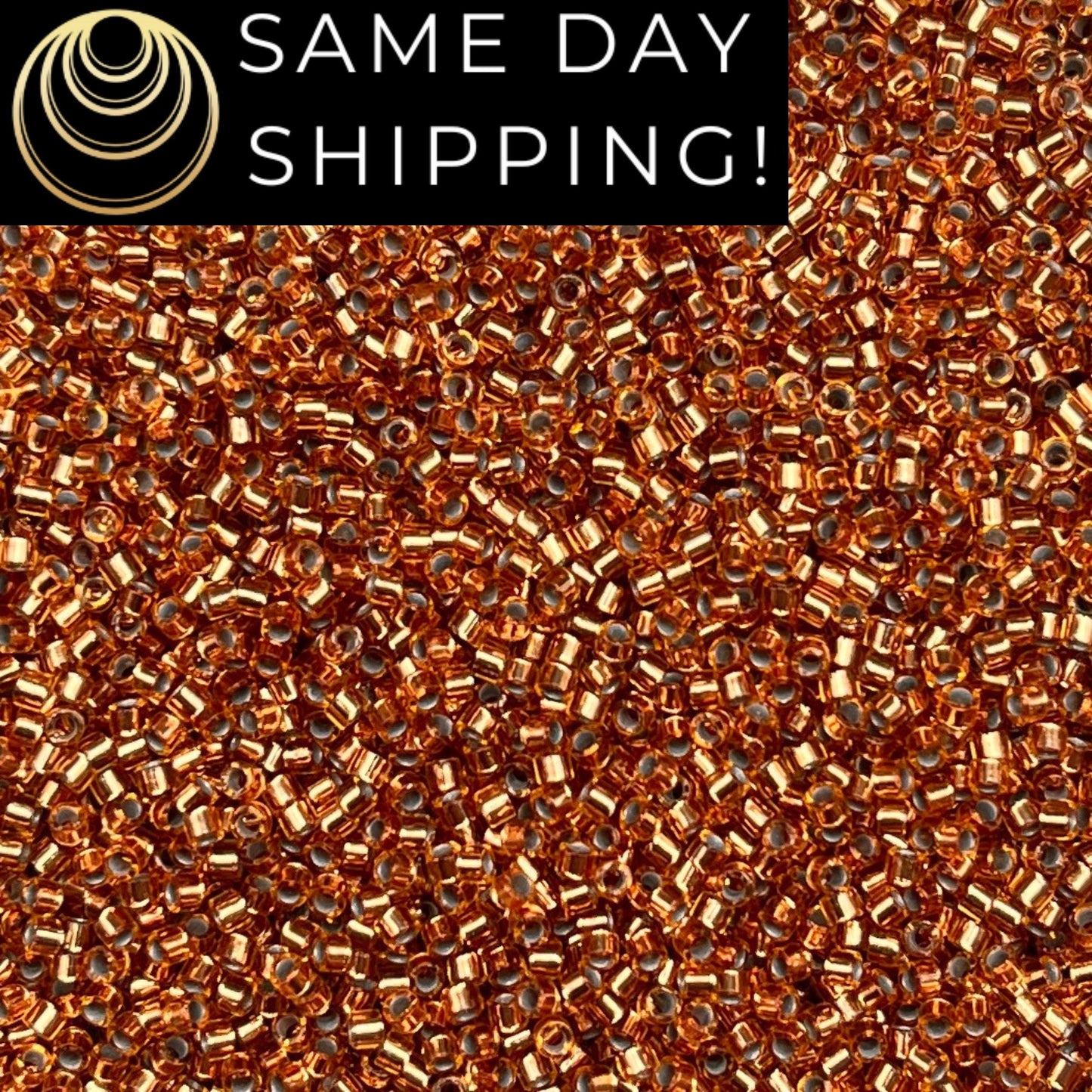 DB181 SAME DAY SHIPPING! 1-20 Grams Miyuki 11/0 Delica Beads Silver Lined Light Bronze-Free Container!