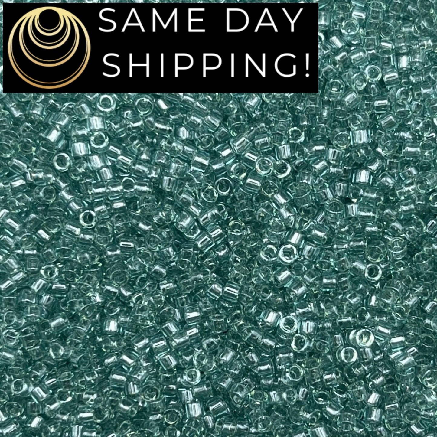DB0112 SAME DAY SHIPPING! 1 Gram up to 20 Grams Miyuki 11/0 Delica Beads Transparent Sea Foam Luster DB112-Free Container!