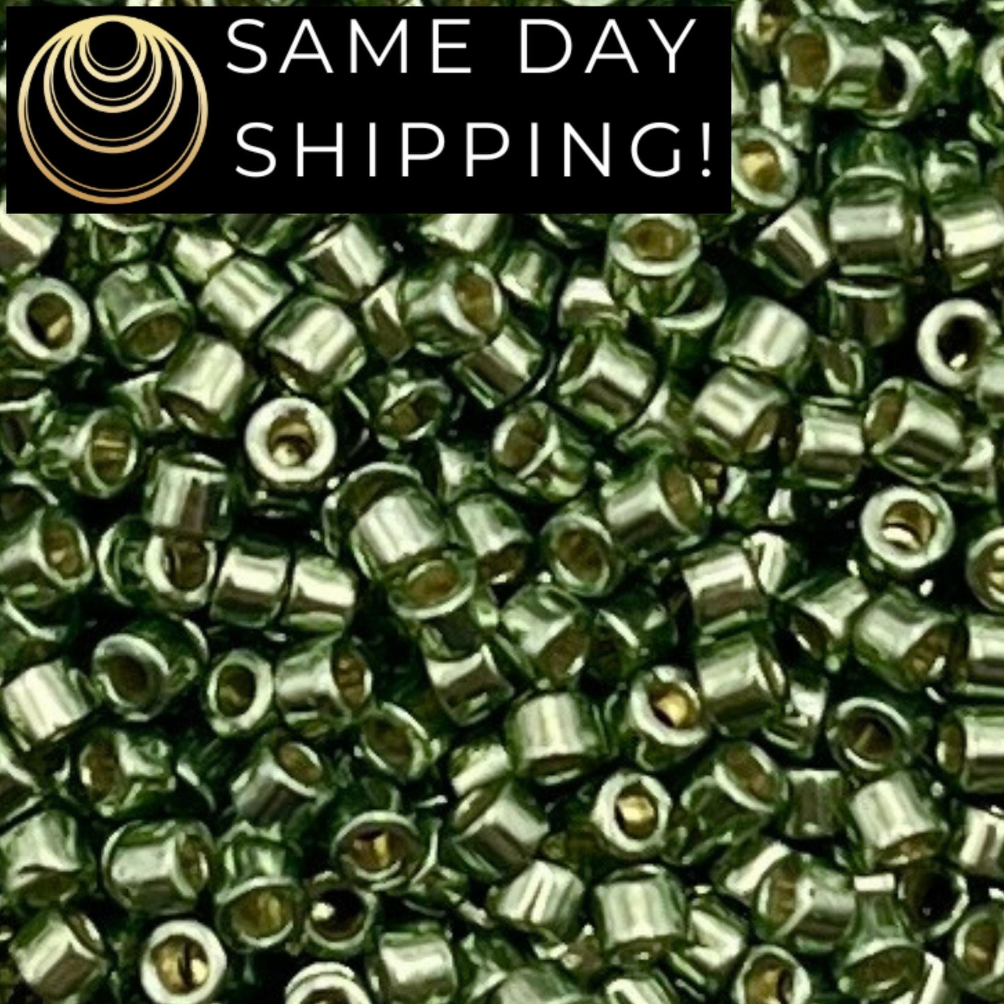 DB1845 SAME DAY SHIPPING! 1 Gram up to 20 Grams Miyuki 11/0 Delica Beads Duracoat Galvanized Sea Green -Free Container!