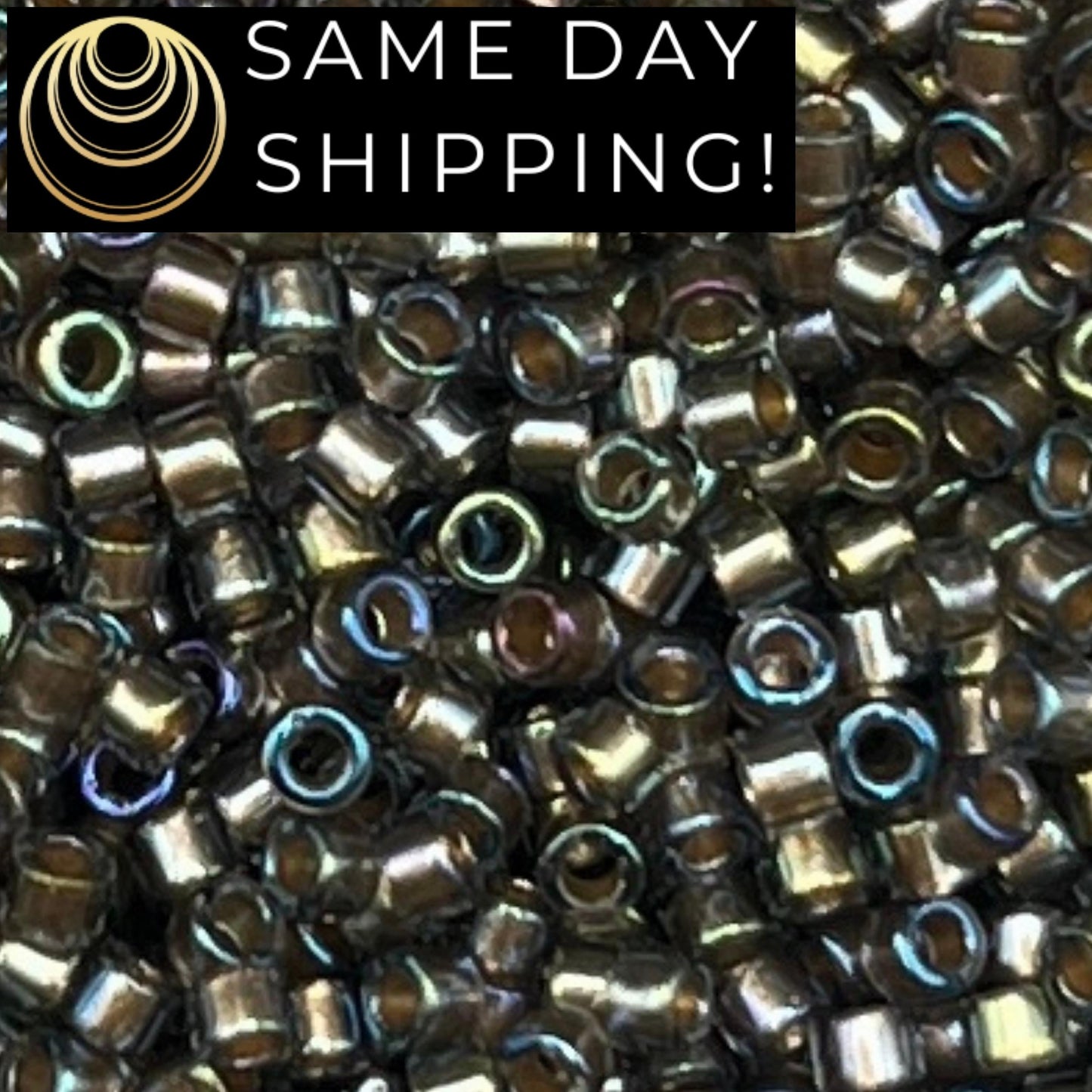 DB1773 SAME DAY Shipping! 1 Gram up to 20 Grams Miyuki 11/0 Delica Beads Sparkling Beige Lined Gray AB -Free Container!
