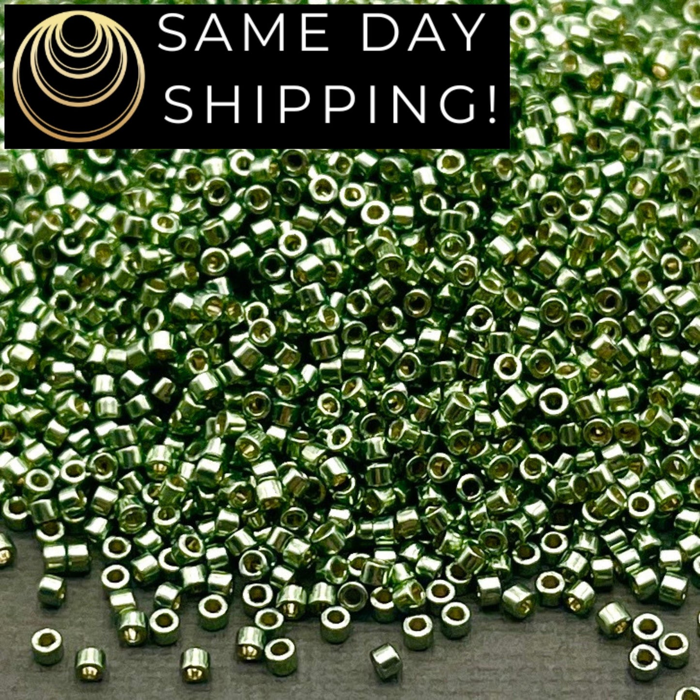 DB1845 SAME DAY SHIPPING! 1 Gram up to 20 Grams Miyuki 11/0 Delica Beads Duracoat Galvanized Sea Green -Free Container!