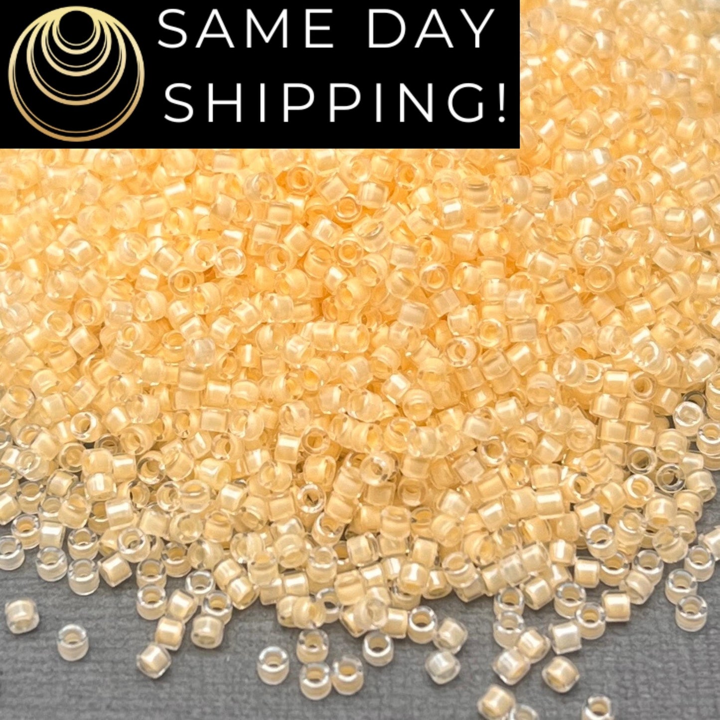 DB2371 11/0 Miyuki Delica Beads Inside Dyed Ivory
