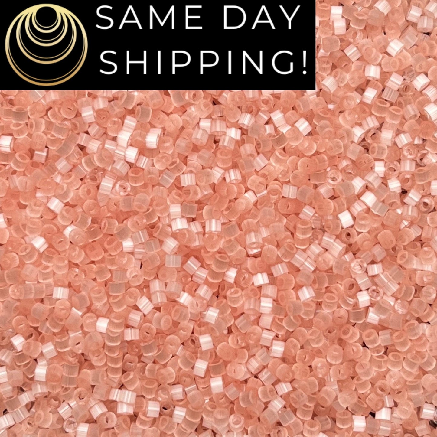 DB825 (1 Gram -20 Grams) Miyuki Size 11/0 Delica Beads Salmon Silk Satin -Free Container! Same Day Shipping!