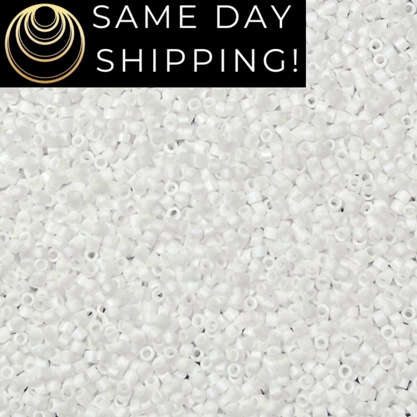 DB0351 11/0 Miyuki Delica Beads Matte White