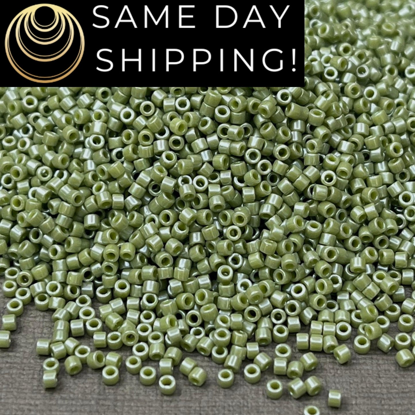 DB0263 11/0 Miyuki Delica Beads Opaque Cactus Luster