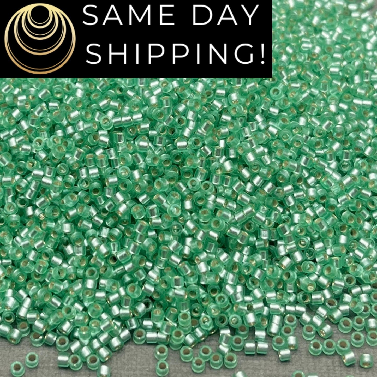 DB0691 11/0 Miyuki Delica Beads Dyed Semi-Matte Silver Lined Mint Green