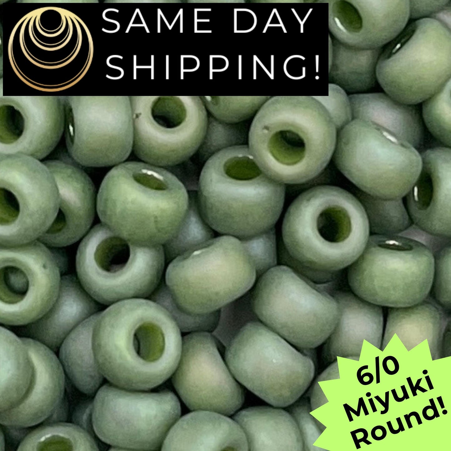 6-4698 6/0 Miyuki Round Beads Opaque Frosted Glaze Fern AB