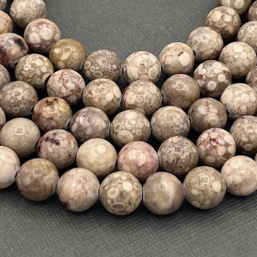 Natural 8mm/6mm/4mm Coral Fossil Smooth Round Gemstone Strand of Beads