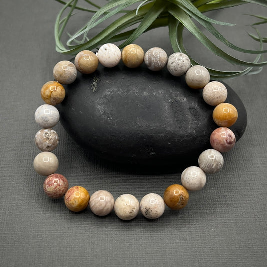 B2G1F Coral Fossil Gemstone 8mm Smooth Round Stretch Beaded Bracelet