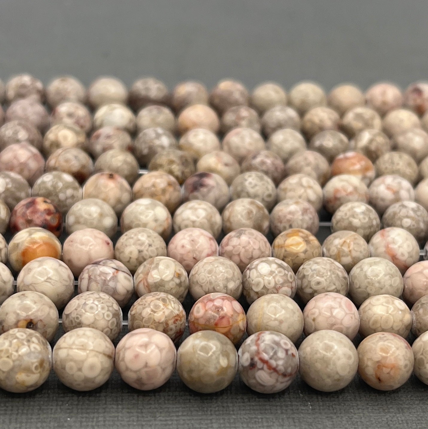 Natural 8mm/6mm/4mm Coral Fossil Smooth Round Gemstone Strand of Beads