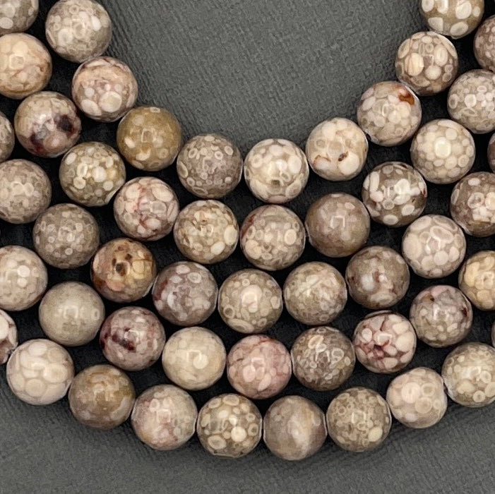 Natural 8mm/6mm/4mm Coral Fossil Smooth Round Gemstone Strand of Beads