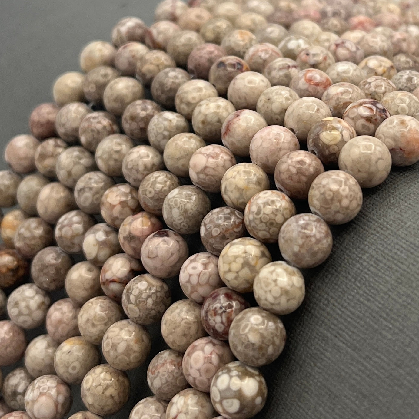 Natural 8mm/6mm/4mm Coral Fossil Smooth Round Gemstone Strand of Beads